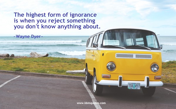 vw van quotes